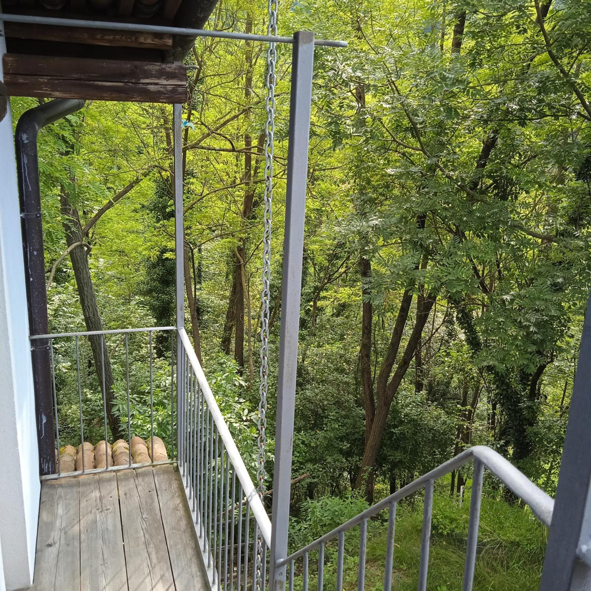 Il Canto Del Bosco Netro Bagian luar foto
